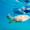 Image 4: Great Keppel Island Snorkel and Glass Bottom Boat Experience