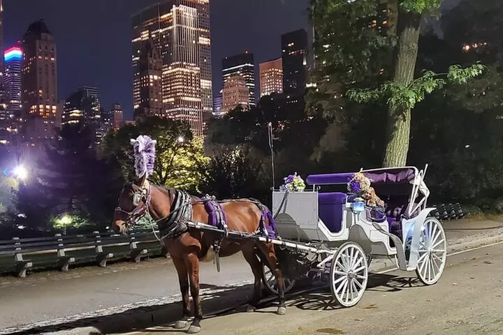 Private NYC Central Park Horse Carriage Ride (Guided) Since 1965™