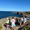 Image 23: 3 Tours Cueva del Indio Arecibo Waterfall and Old San Juan Castle