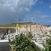 Image 14: 3 Tours Cueva del Indio Arecibo Waterfall and Old San Juan Castle