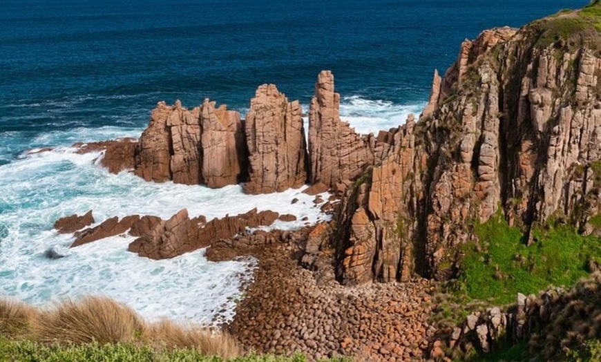 Image 7: Phillip Island Penguin Parade and Wildlife Tour from Melbourne