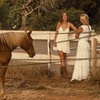 Image 4: Ibiza: Experiencia privada de naturaleza a caballo