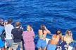 Tour de Medio-Dia en Crucero-Observación de Delfines y Ballenas - Second Medium