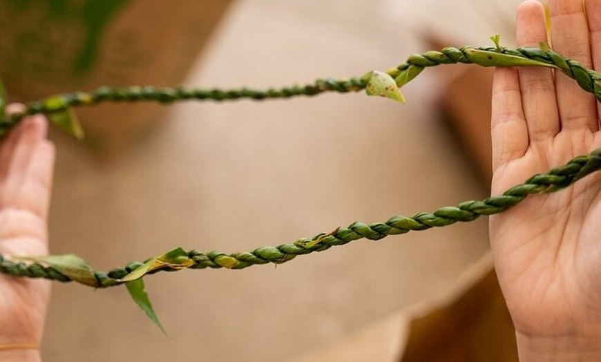 Image 5: Maui Eco-Raft Tour: Hawaiian Cultural Whale Tour (*New)
