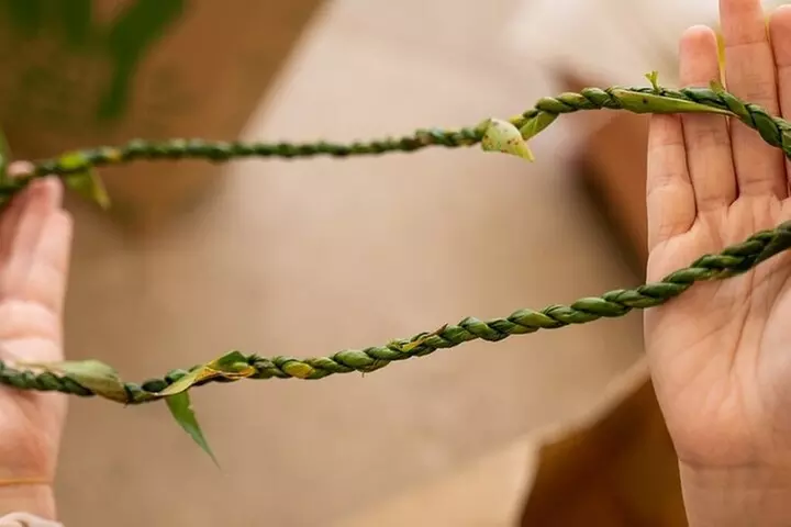 Eco-Raft Tour: Intro to Hawaiian History & Whale or Dolphin Watch