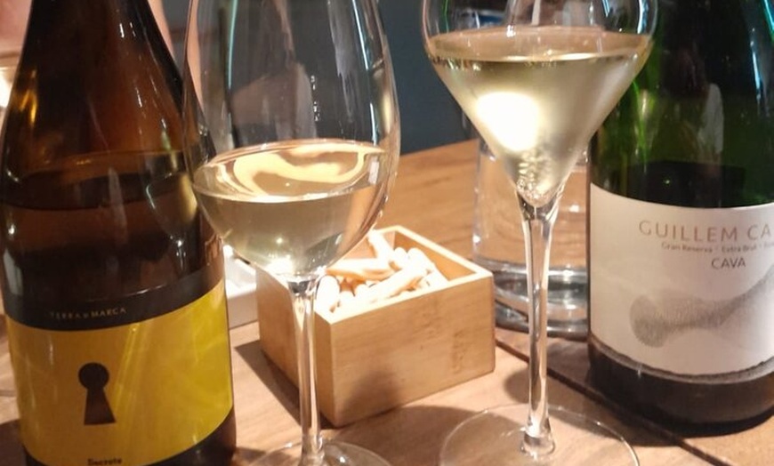 Image 9: Barcelona : Tour Wine & Walk en "el Gótico"