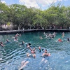 Image 17: Isla Holbox Day Tour from Cancun with Lunch Included