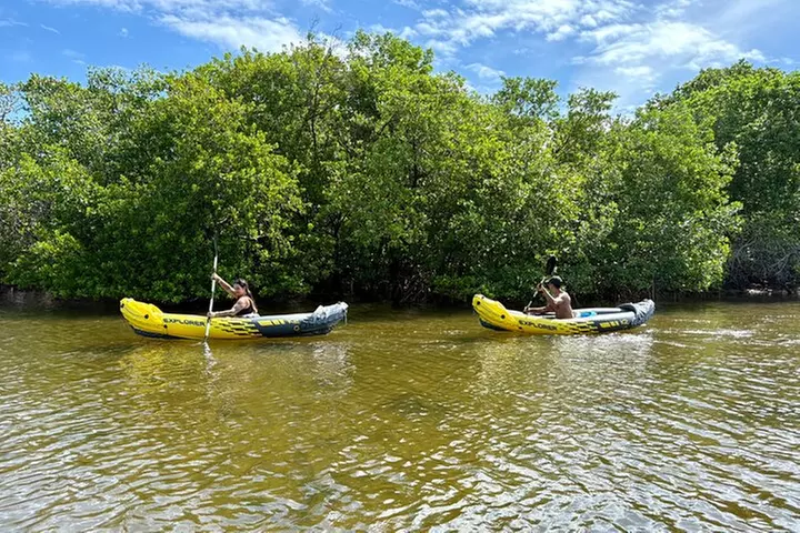 Fort Lauderdale: Kayak/SUP on Mangroves w/ Snacks & Drinks