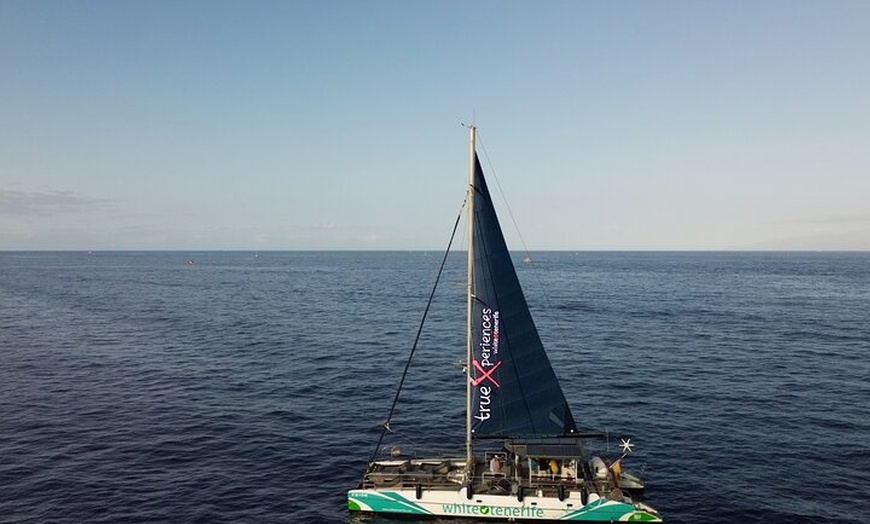 Image 4: 5 horas Avistamiento y escucha de ballenas y delfines visitando Los...