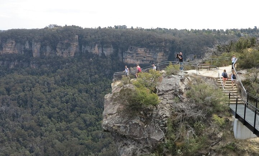 Image 12: Small Group Blue Mountains Wildlife and Bushwalk Tour From Sydney