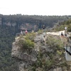 Image 12: Small Group Blue Mountains Wildlife and Bushwalk Tour From Sydney