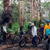 Image 2: Fat Bike Adventure Tour in Margaret River