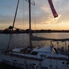 Image 1: Torrevieja Sunset Experience con Adelmar Catamarans and Boats
