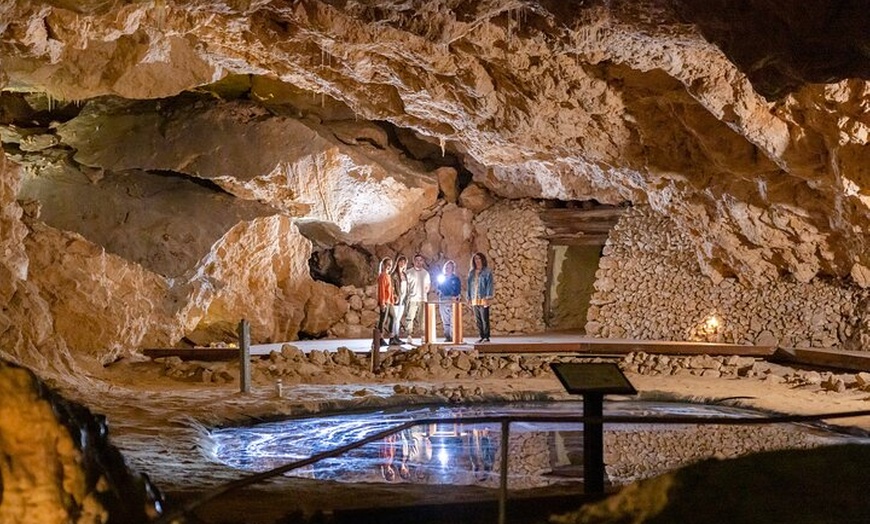 Image 9: Private Pinnacles Desert Tour from Perth