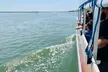 Dolphin and Wildlife Adventure of St. Augustine - Second Medium