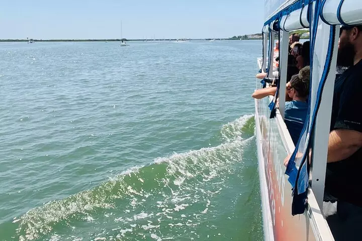 Dolphin and Wildlife Adventure of St. Augustine