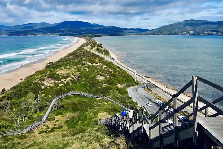 Bruny Island Food & Wildlife Guided Tour with Coastal Views - Primary Image