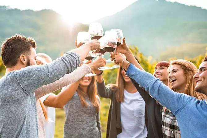 Private Sonoma Valley Wine Country Tour from San Francisco Bay Area - Primary Image