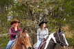 90 Minutes Private Horseback Ride Near Nashville - Second Medium