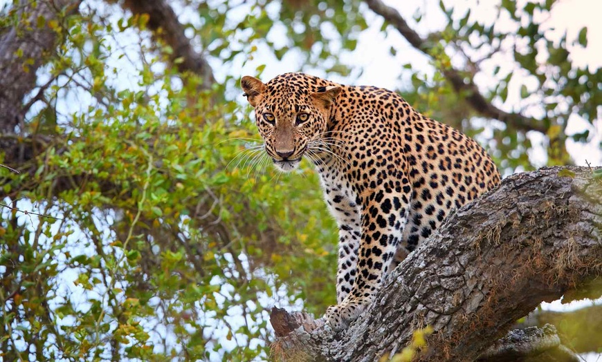 Image 32: ✈ INDIA | From Delhi to Colombo - Enchanting Getaways in India and ...