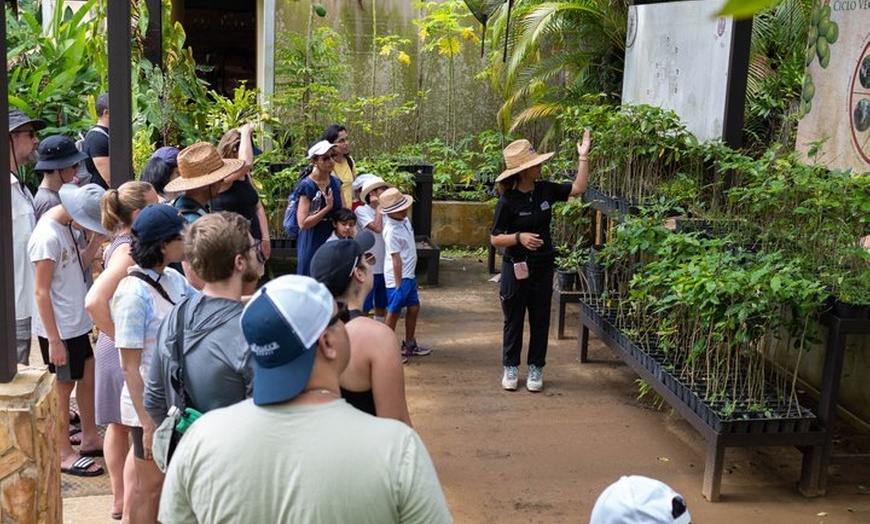Image 6: Puerto Rico Coffee Plantation & Waterfall River Tour