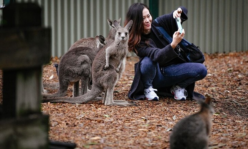 Image 6: Blue Mountains Day Tour with Scenic World and Wildlife Park Entry