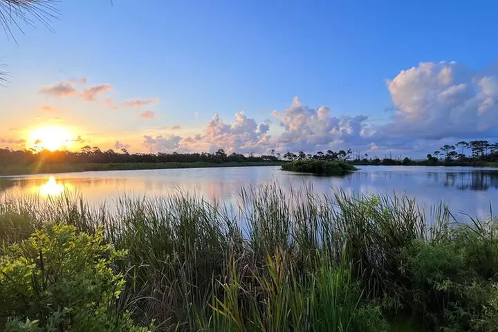 State Park E-Bike Tour: Alligators, Pier, & More [SELF-GUIDED]