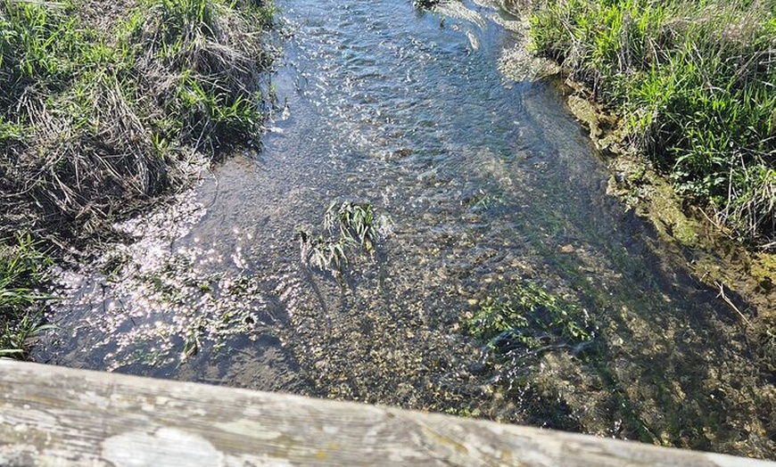 Image 9: Private Wiltshire Mystical & Dragons Driving Tour with Guide