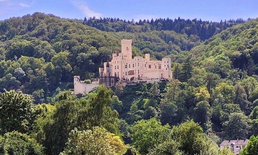 Image 8: Schloss Koblenz Stolzenfels Private Tour