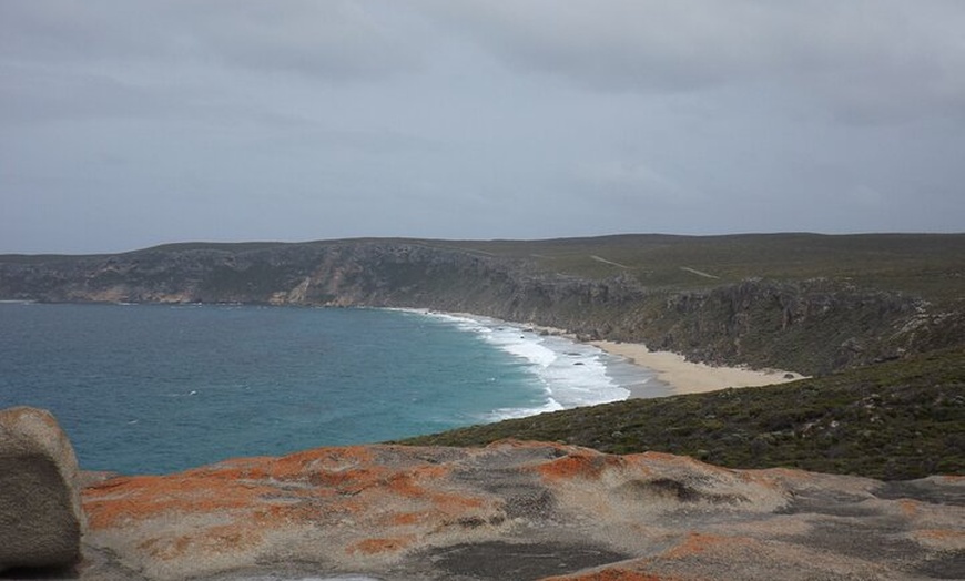 Image 5: Cruise Ship Flinders Chase Tour