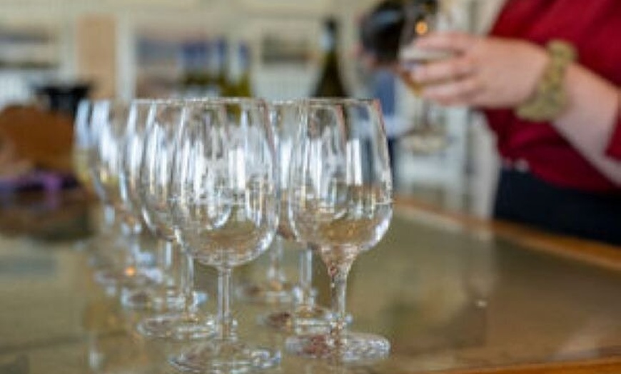 Image 5: CRUISE SHIP Dudley Wines & False Cape Wine Tour