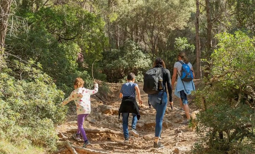 Image 36: Sierra de Tramuntana caminata con pequeño picnic