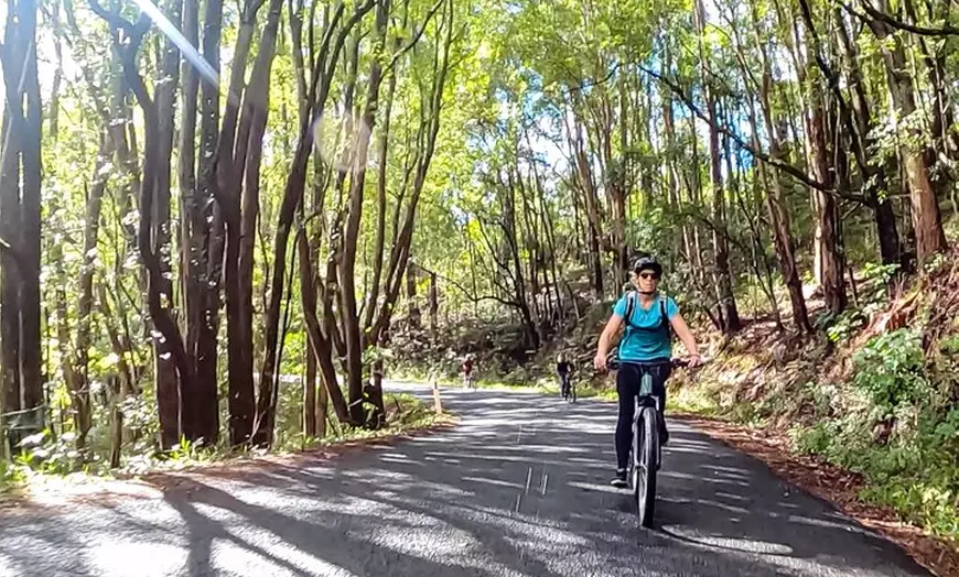 Image 4: Guided E Bike Tour - Unicorn Falls & National Park
