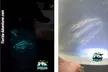 Bioluminescence Rafting Tour - Wildlife Refuge (Titusville) - Second Medium