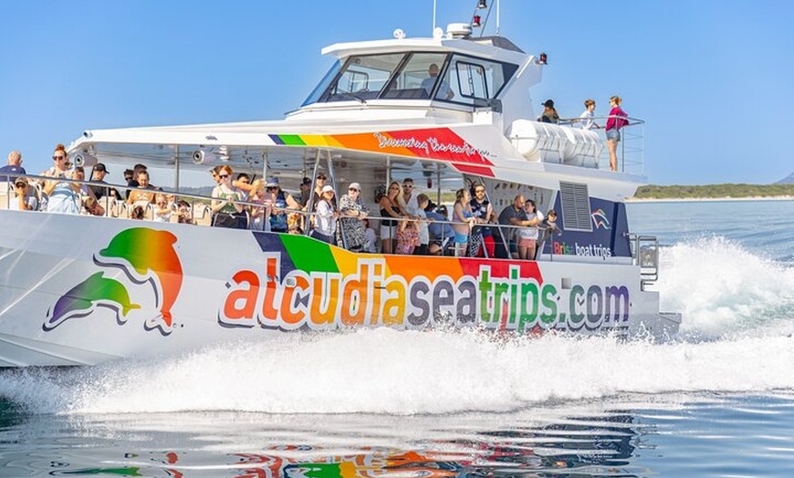 Image 11: Dolphin Adventure : Avistamiento de Delfines en Barco Rápido en Mal...