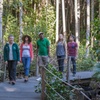 Image 1: Sea Acres Rainforest Boardwalk Tour