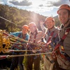 Image 5: Launceston: Hollybank Treetops Adventure - Zipline Tours
