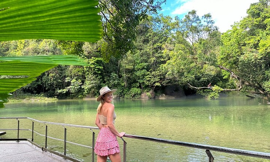 Image 8: Shore Excursion: Josephine Falls Half Day Adventure