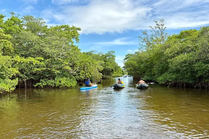 Fort Lauderdale: Kayak/SUP on Mangroves w/ Snacks & Drinks