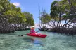 La Parguera Boat Charter with Captain: Kayak & Snorkel - Second Medium