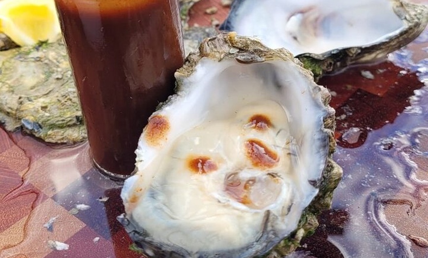 Image 1: Oyster Adventure in Coffin Bay (Coffin Bay Pick Up)