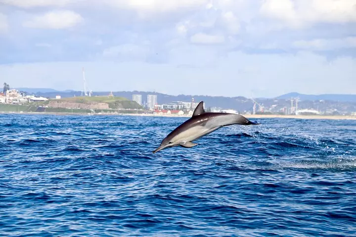 Hunter Coastal Adventure Tour by Boat from Newcastle