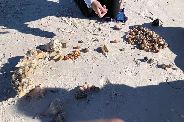 4 Hour Kice Island Shelling Trip