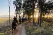 Hunter Valley Sunset Horse Ride - 90 Minutes - Image 2