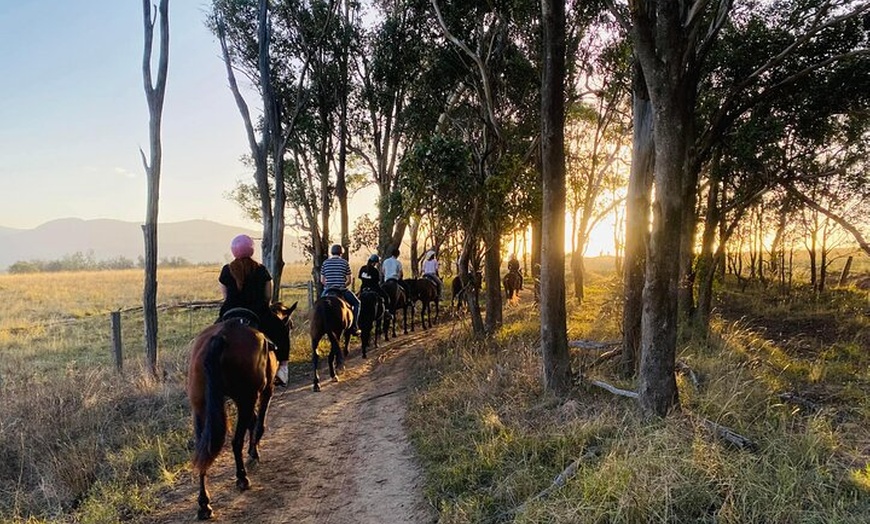 Image 2: Hunter Valley Sunset Horse Ride - 90 Minutes