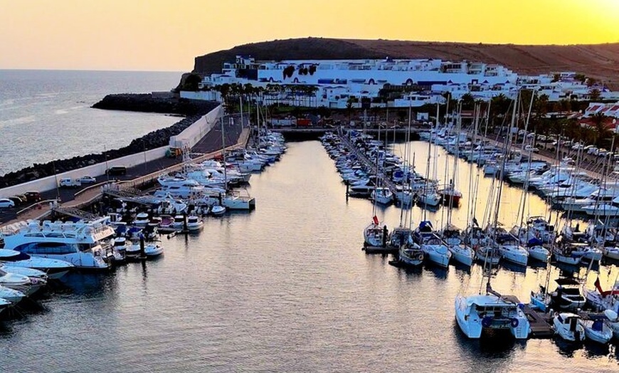 Image 2: Actividad de avistamiento de delfines al atardecer en Gran Canaria