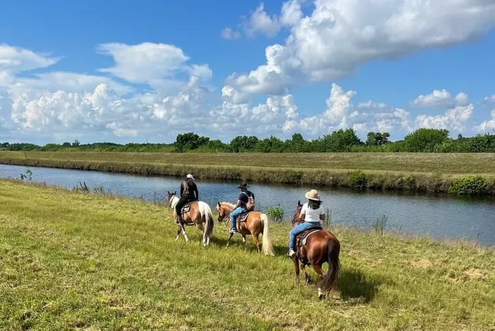 Horseback Riding in Miami
