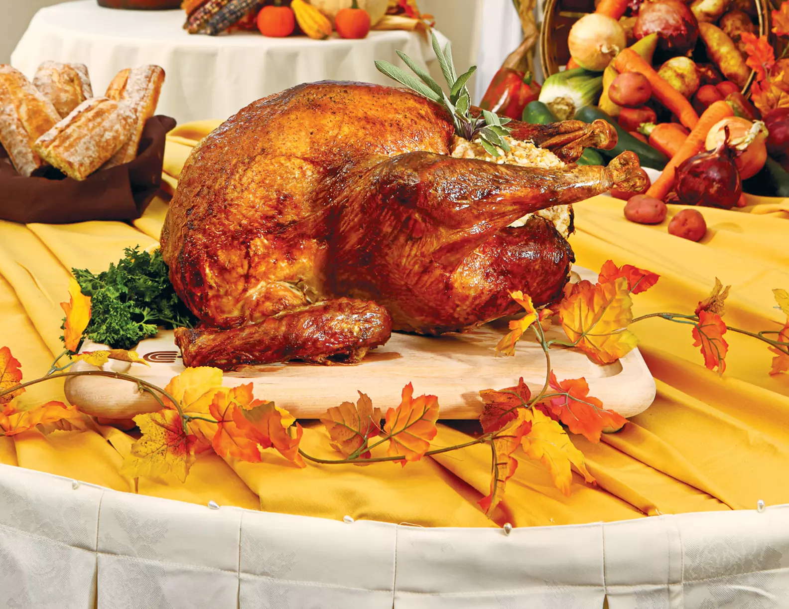 $20 For $40 Worth Of Fine Dining - Primary Image