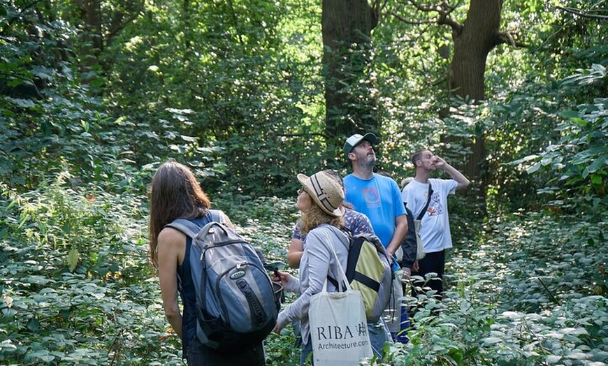 Image 3: Guided Forest Bathing Walk in a Hidden SE London Woodland