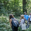 Image 3: Guided Forest Bathing Walk in a Hidden SE London Woodland